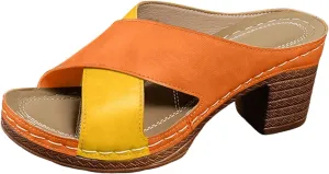 Chunky Heel Fish Mouth Women's Shoes Fashion Casual Hollow Open Heel Strap Stitching Color Spring Women Huarache Sandals