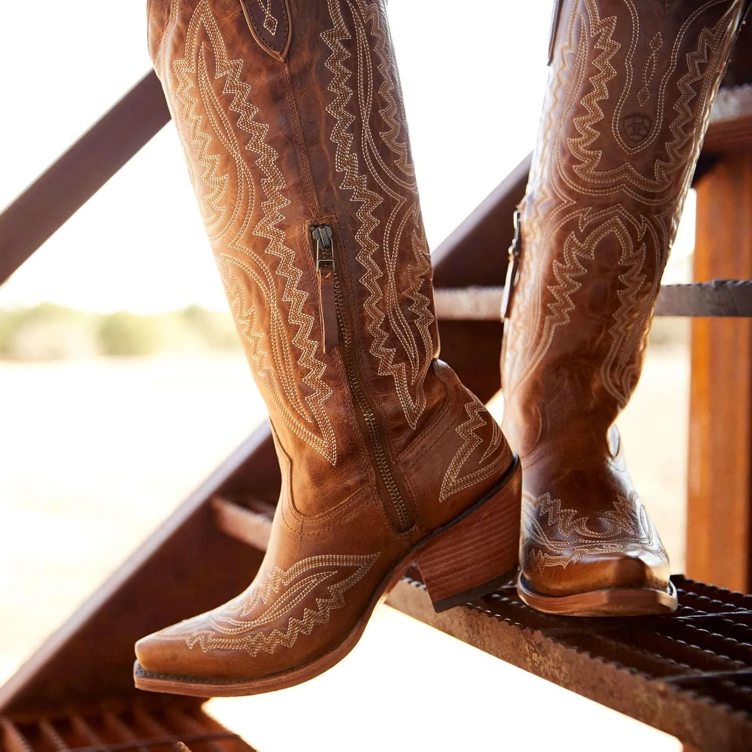 Meefit Cowboy Boots for Women Knee High Cowgirl Boots Pointed Toe Chunky Heel Western Retro Country Boots,Vintage Tall Boots