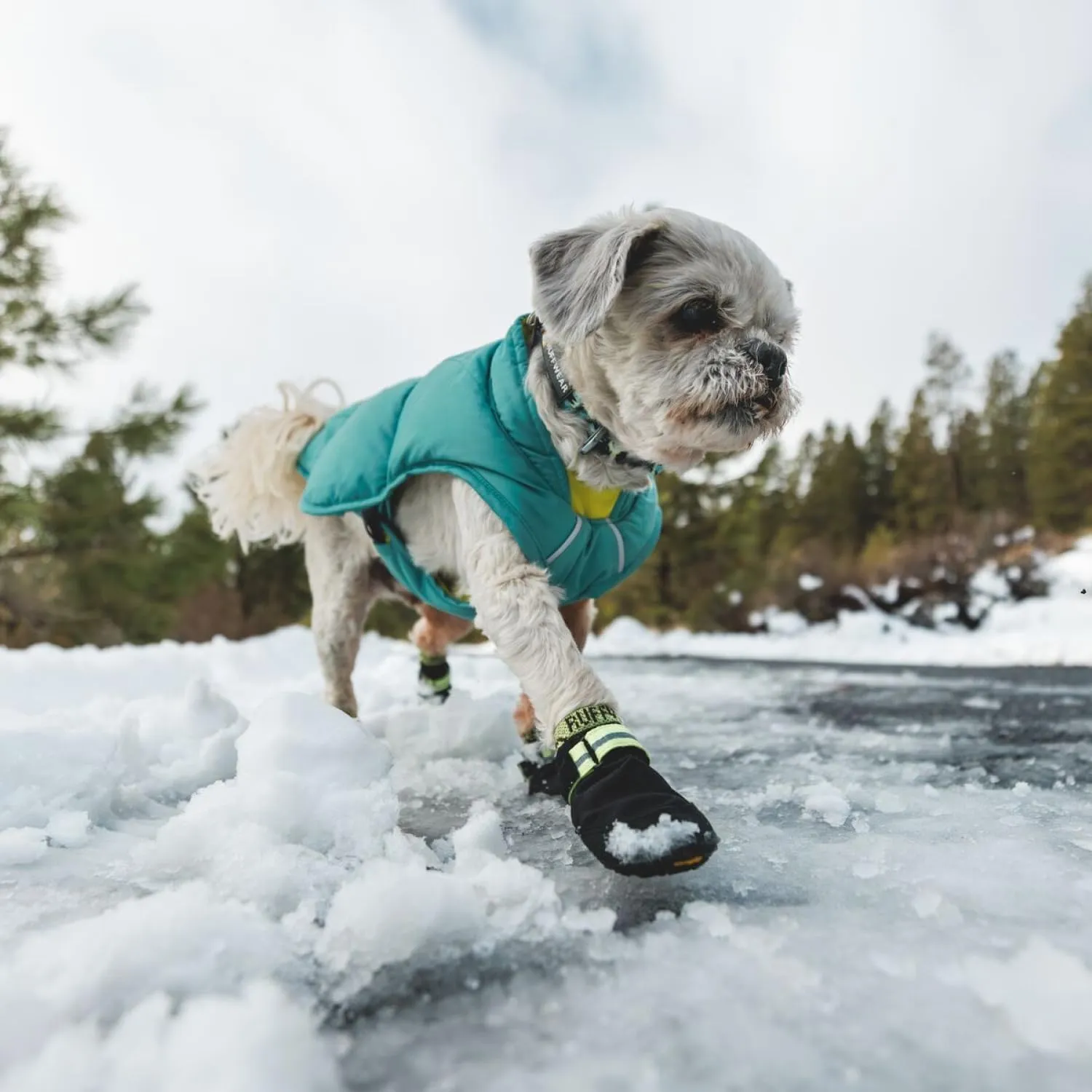Ruffwear, Summit Trex Shoes, Dog Boots for Everyday Use, Obsidian Black, 2.75"